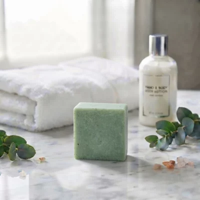 Himalayan Salt Soap|Travel/Sample