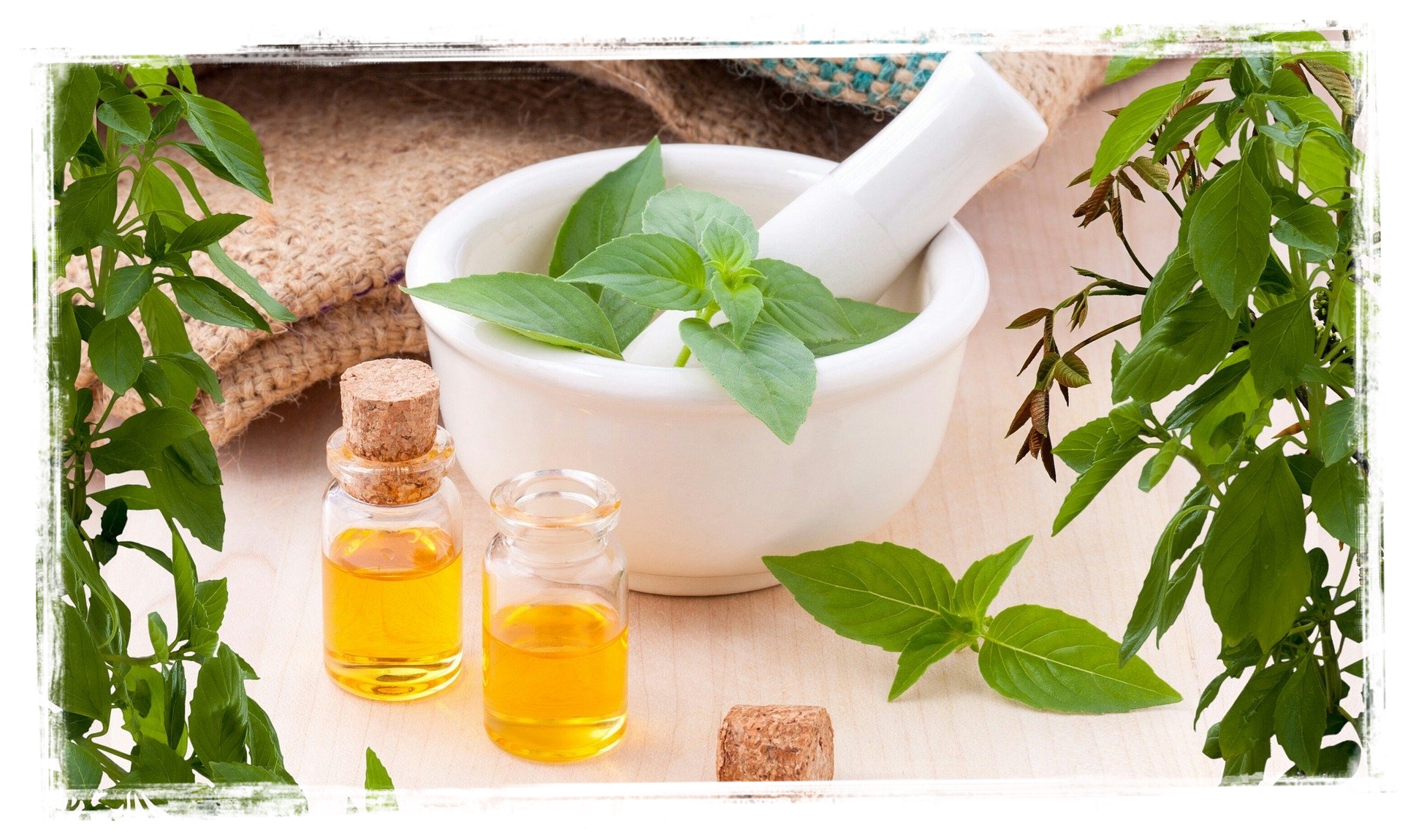 essential oils-001 Activated Tea Tree