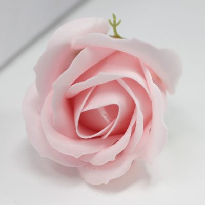 Pink Rose Flowers